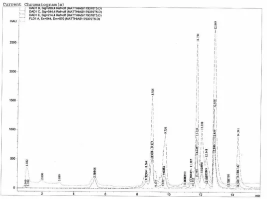 Abbildung 5.2.1-21 Chromatogramm von Uni370-TC-TMR 