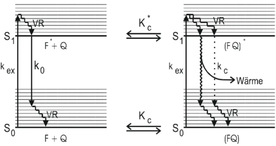 Abbildung 1.1.5.2-1: Vereinfachtes Energieschema der statischen Löschung eines Fluorophors durch  Bildung eines Grundzustandskomplexes zwischen Fluorophor und Löschmolekül Q