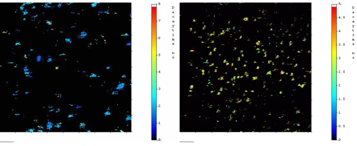 Abbildung 3.2-8: Lebensdauerbilder der kovalent auf Glasoberflächen gekoppelten Farbstoffe Cy5  und MR121 nach Zugabe von FTP