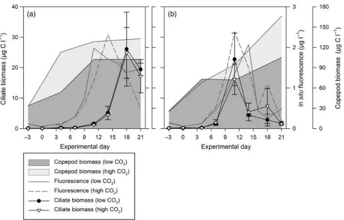 Figure 2. Ciliate biomass (mean +SD) in mg C l 21 at low (ﬁlled symbols) and high CO 2 levels (open symbols) and total copepod biomass (adult copepods and copepodites) in mg C l 21 at low (dark grey ﬁelds) and high CO 2 levels (light grey ﬁelds) as well as