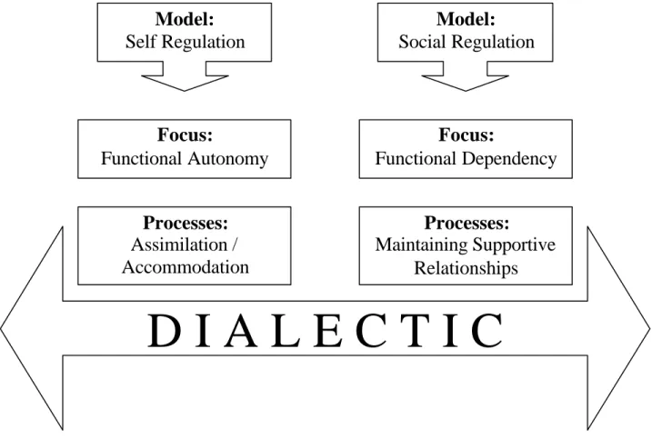 Figure 1.  Dialectical Approach to Understanding Autonomy-Dependency 