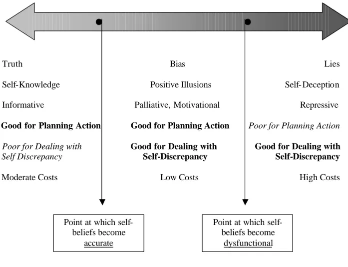 Figure 29.  The Self-Belief Continuum 