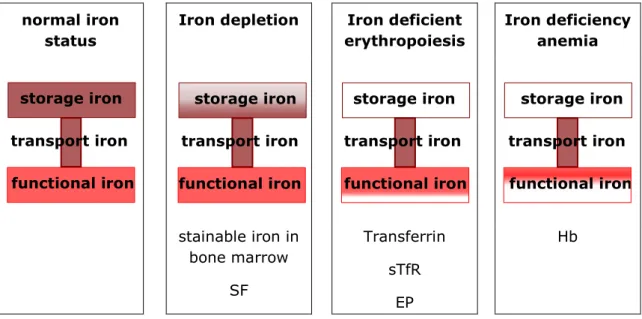 Table 8 summarizes the most important iron indices commonly used and presents  their most important advantages and drawbacks