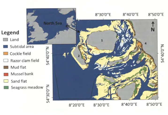 Fig.  7:  Location  and  habitat distribution of the study site;  the  black  frame  delimits the border of the  studied  area;  1)  Fohr,  2)  Amrum, 3)  Langeness,  4)  Mainland  coast,  5)  Norderaue,  6)  Si.ideraue;  map  changed  after  Brockmann  Co