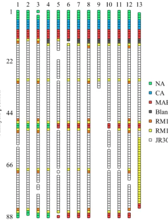 Figure 2. Schematic arrangement of calibration standards (NA, CA and MAB), blanks, RM and samples (JR302) within each analysis batch