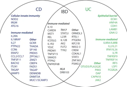 Figure 1.2: Inflammatory bowel disease (IBD) loci. Venn-diagram demonstrating the distribution of identified loci (gene name) across IBD sub-group