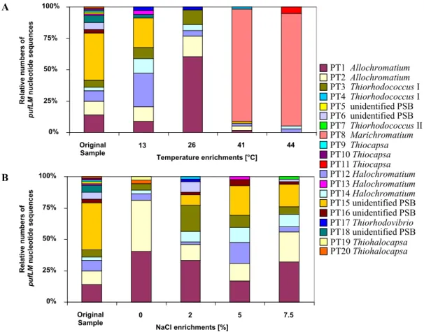 Figure 3. The contribution of different phylotypes to the community of purple sulfur bacteria (PSB)  in a Baltic Sea lagoon is shown