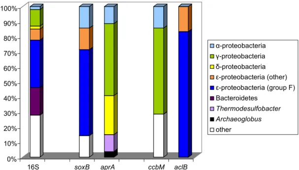 Figure 4. The microbial community composition of a hydrothermal fluid at a mussel field of Irina II  at the Logatchev vent field is shown: on the left the phylogenetic groups according to 16S rRNA  genes, the relative contribution of different phylogenetic