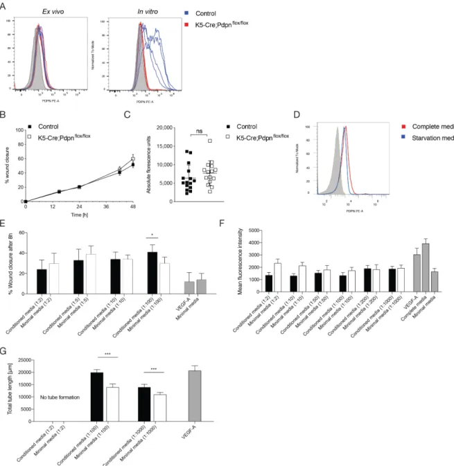 Figure  3.  Keratinocyte-expressed  podoplanin  promotes  lymphangiogenesis  at  the  wound edge