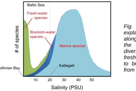 Fig.  1  –  Remane’s  concept  explains  species  diversity  along  the  salinity  gradient  of  the  Baltic  Sea  with  more  diversity  in  marine  and  freshwater  areas  compared  to  brackish  water