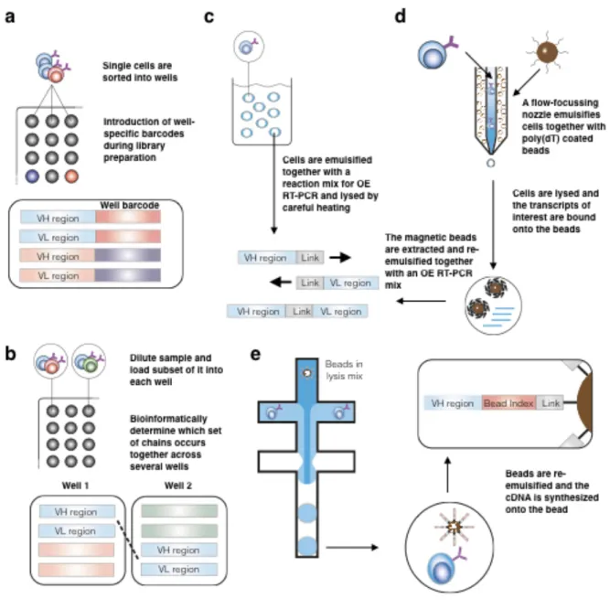 Figure 1-1 Overview of Immune Repertoire Pairing and Sequencing Methods 
