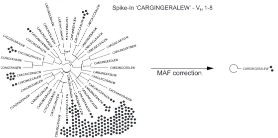 Figure 2-3 Phylogenetic tree visualizing CDRH3 variants 