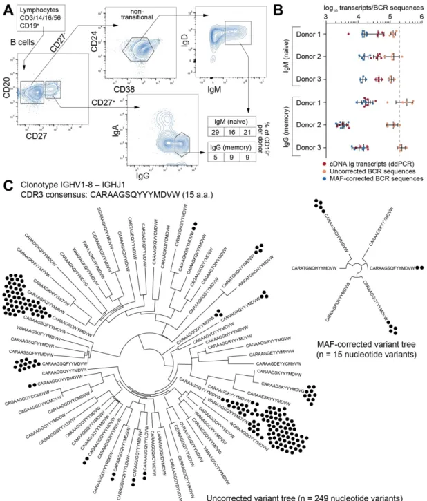 Figure 2-6 Ig-Seq analysis of human naïve (CD27-IgM+) and memory (CD27+IgG+) B cells 