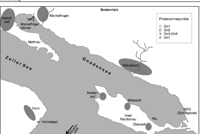 Abbildung 3: Ausschnitt aus dem Bodensee-Untersee mit Probenahmelokalitäten. Ortschaften sind grau unterlegt