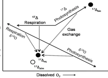 Figure 5. A schematic diagram showing the effects of photosynthe- photosynthe-sis, respiration, and air–water gas exchange on dissolved O 2  con-centrations, δ 18 O and 17 1