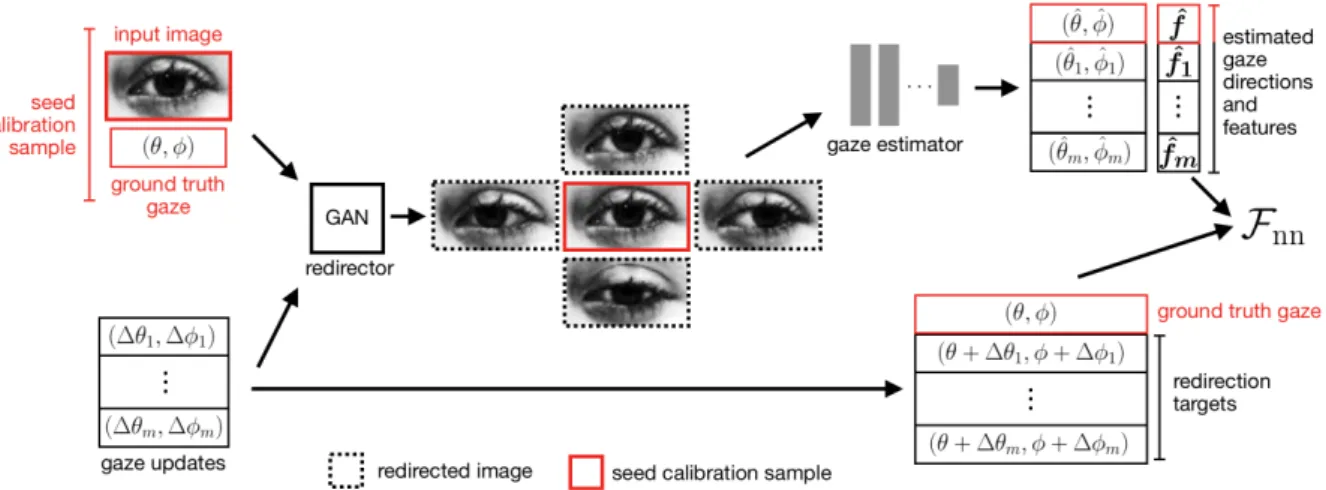 Figure 3.1: Training. Given a set of seed samples with corresponding ground truth gaze directions, the gaze redirector generates redirected samples according to user-specified gaze updates