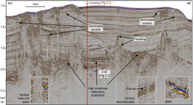 Figure 2.3: 2D Nemesys line along the Opouawe Bank crossing the seep structures aligned along the ridge. The  vertical  conduits  display  several  focusing  levels,  and  some  conduits  terminate  within  the  sediments.  The  interface of Figs. 2.2 and 