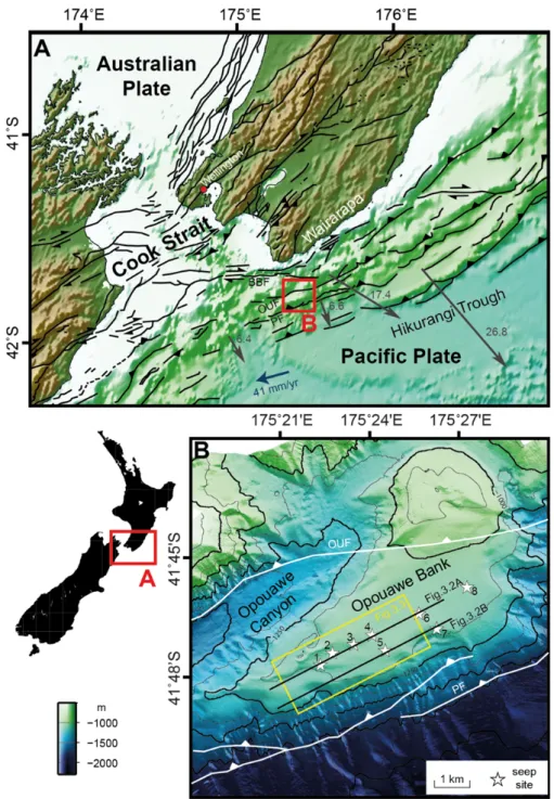 Figure 3.1: A) Bathymetric map showing the location of Opouawe Bank at the Hikurangi margin, offshore New  Zealand. Geological structures are from Wallace et al. (2010). Blue arrow shows the relative plate motion vector  of the Australian and Pacific plate