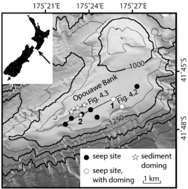 Figure  4.1:  Bathymetric  map  of  Opouawe  Bank,  offshore  New  Zealand,  displaying  seep  sites  and  sediment  doming areas. Dome geometries used for calculations are taken from sites 1 (Takahe) and 2 (Pukeko). 