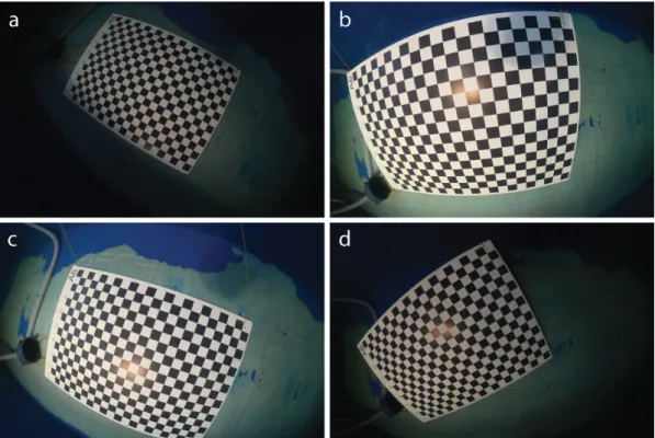 Figure 5. Sample images used in calibration of the camera. The checkerboard is presented in different  positions and orientations (a–d) relative to the camera in order to obtain the 3D ray associated to each  pixel in the image