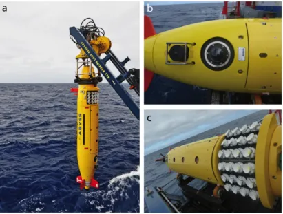 Figure 1. (a) The GEOMAR AUV ABYSS prior to launch, equipped with (b) a high resolution camera  behind a dome port and (c) a novel LED flash system
