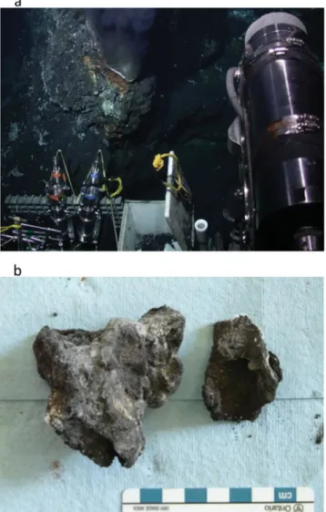 Figure 4. Hot Harold chimney sample. (a) Hydrothermal chimney actively venting 3218C ﬂuid as seen on the seaﬂoor prior to collection