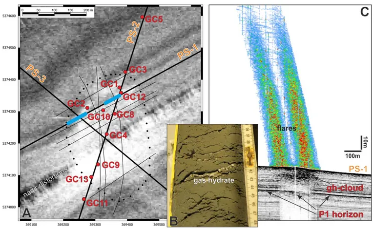 Figure 2. (a) Map of the Takahe seep site with GC-locations and Parasound proﬁles as thin and thick black lines (map projection UTM 60S) showing the high seaﬂoor backscatter in the side-scan data (white area inside the gas chimney indicated by the dotted l