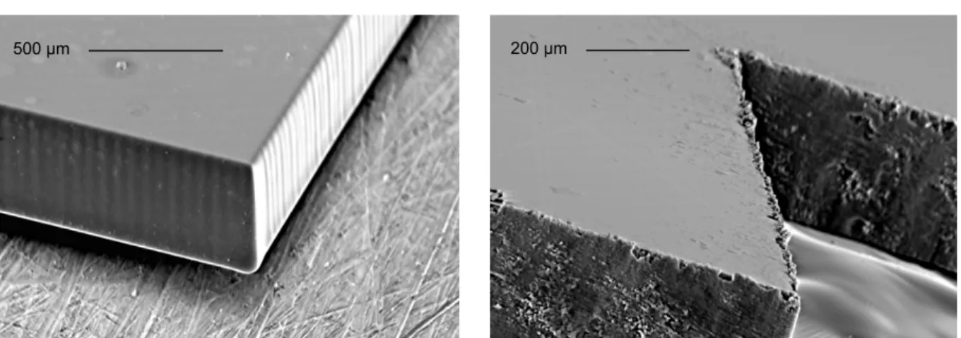 Abb. 4.7: Raster-Elektronen-Mikroskop-Aufnahmen von lasergeschnittenen Paddles. Die linke Abbildung zeigt ein Paddle aus amorphem SiO 2 , die rechte eines aus Silizium.