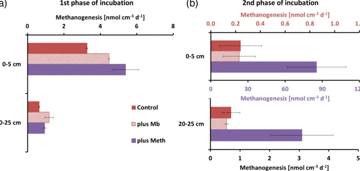 Figure 4. Potential methanogenesis rates in sediment slurry experiments from the two sediment intervals (0–5 and 20–25 cm) at St
