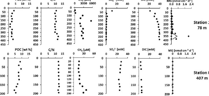 Figure 5. Profiles of particulate organic carbon (POC), C / N ratio, methane (CH 4 ), sulfate (SO 2− 4 ), dissolved inorganic carbon (DIC), and hydrogenotrophic methanogenesis (MG) rates in the gravity cores at two stations within the depth transect