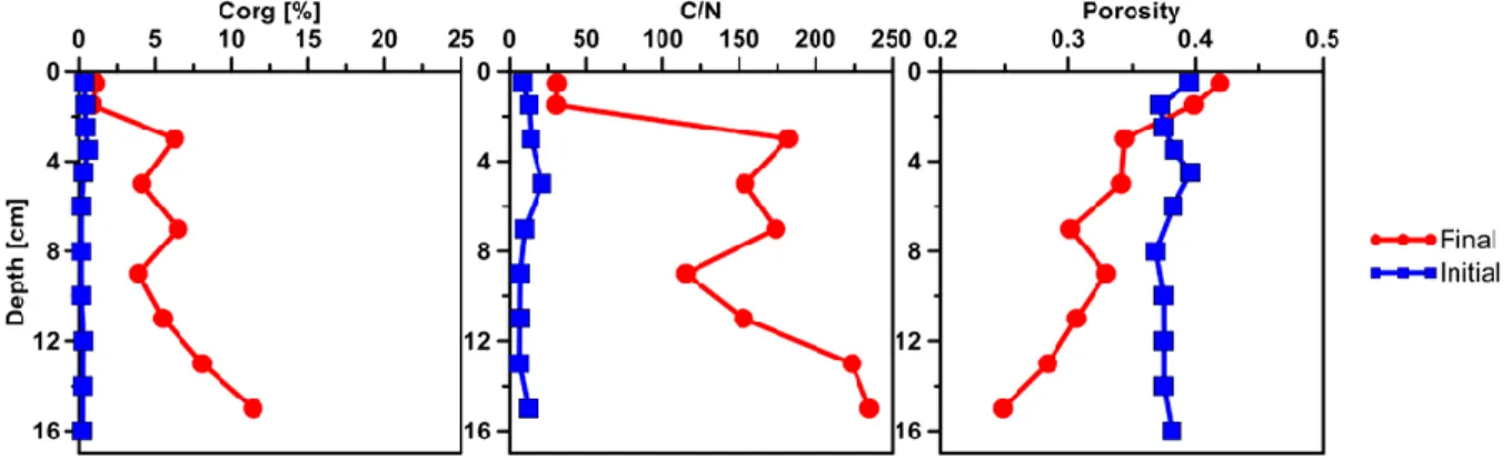 Figure  3.  Vertical  profiles  of  sediment  parameters  determined  in the initial Caspian Sea core  (blue) and the SOFT core after 190 days (red, final)