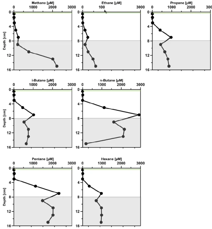 Figure 7. Vertical distribution of volatile n-alkanes (from C1 to C6: Methane, Ethane, Propane, n- n-Butane,  i-n-Butane,  Pentane  and  Hexane)  over  depth  in  the Caspian Sea core at 190 d after the  SOFT  experiment