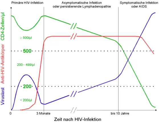 Abbildung 1: schematisierter Verlauf der unbehandelten HIV-Infektion 