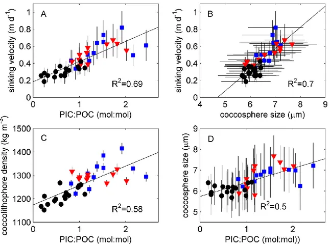 fig. S4. Observed relationship between sinking velocity, PIC/POC ratio, coccosphere size, and  cell density of E