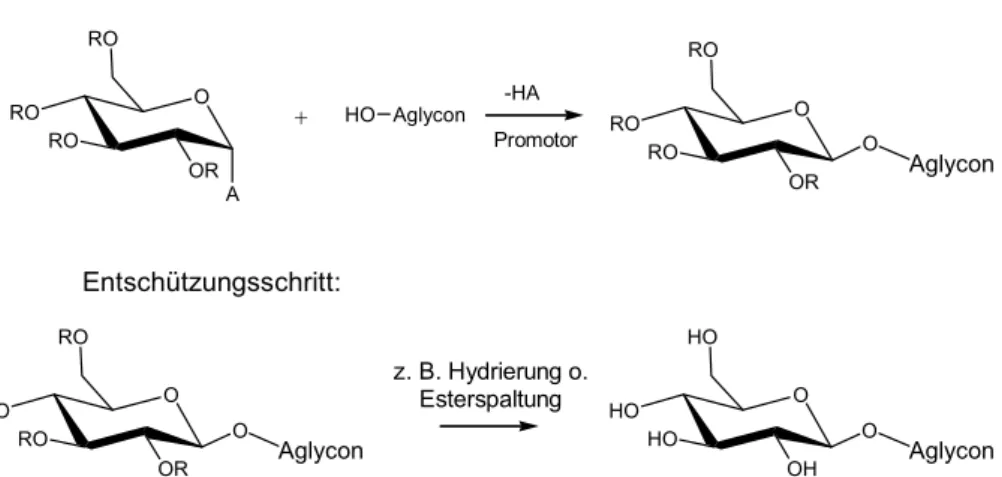 Abbildung 3.1-1 Schematische Darstellung einer Glycosidsynthese in zwei Schritten. 
