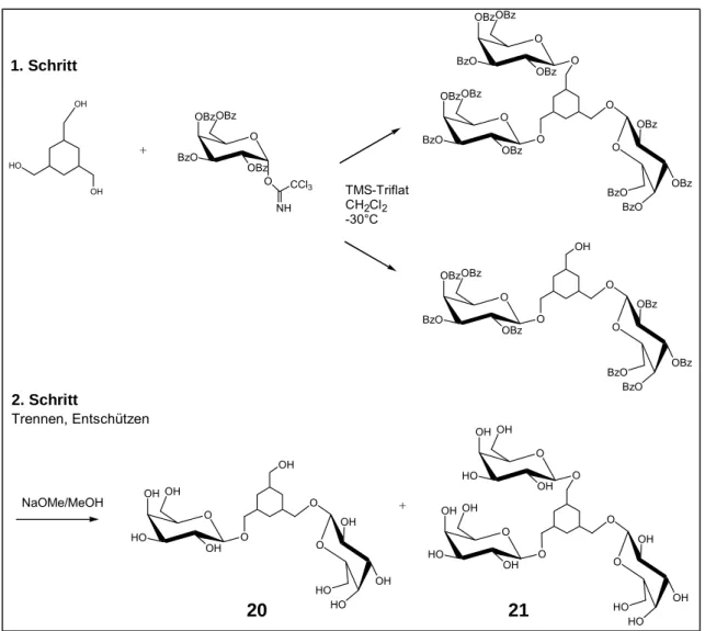 Abb. 3.2-1 Synthese der di- und trivalenten TMC-Galactoside. Synthese erfolgte nach der Imidat- Imidat-Methode