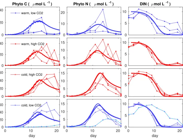 Figure 2.4 . Model reference runs for phytoplankton biomass reproducing the mean of the repli- repli-cates per treatment are in solid lines, with different legend for the temperature (warm and cold) and CO 2 (high and low) treatments