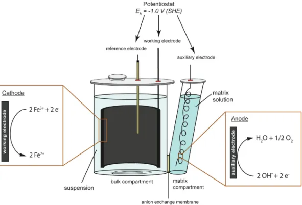 Fig. 1. Electrochemical cell modified after Soltermann et al. [35] and used for the sorption studies with Fe(II)