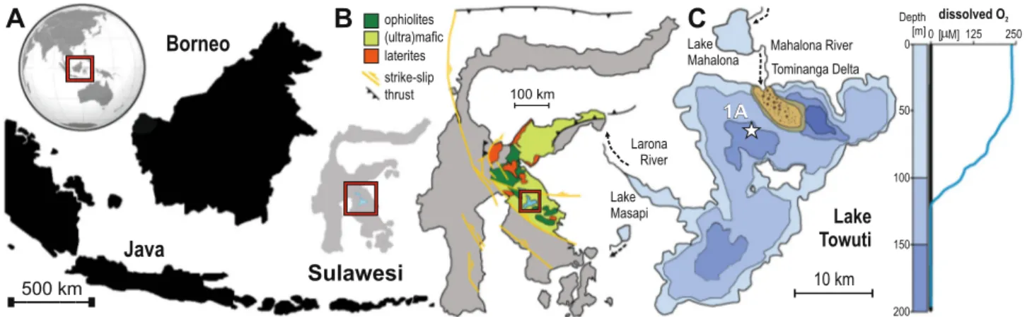 Fig. 1 Lake Towuti location and geological setting. A Map of Indonesia and the location of Sulawesi Island