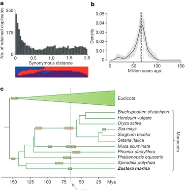 Figure 2 | Ancient whole-genome duplication (WGD). a, K S -based  age distribution of the whole Z