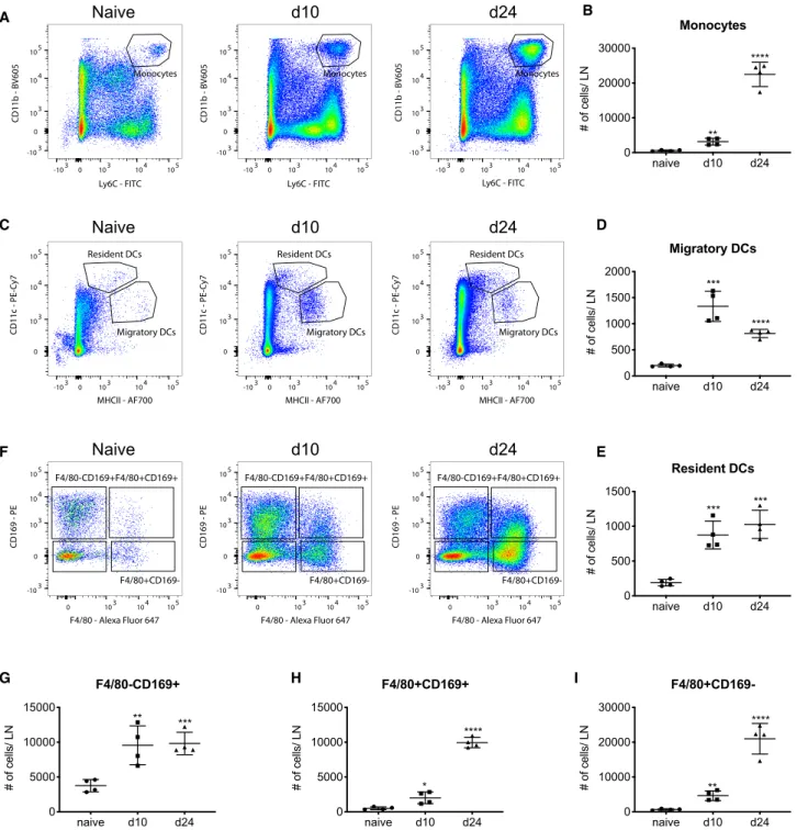 Figure 1. LN monocyte and macrophage subpopulations and their expansion in 4T1 tumor-draining LNs