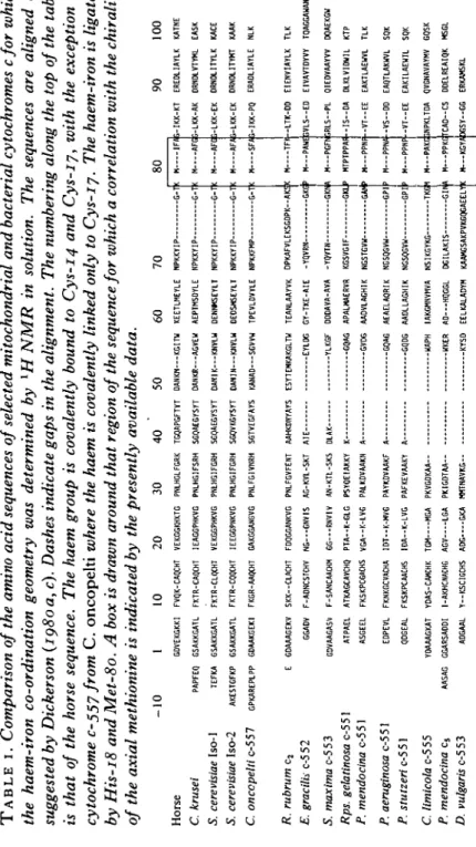 TABLE I. Comparison of the amino acid sequences of selected mitochondrial and bacterial cytochromes cfor which the haem-iron co-ordination geometry was determined by 1H NMR in solution