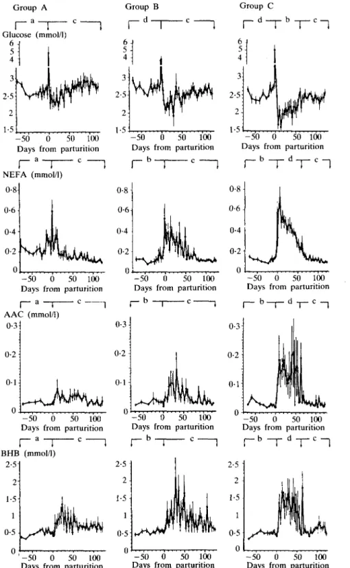 FIG. 2. Blood levels of glucose, non-esterified fatty acids (NEFA), acetoacetate (AAC), and {Miydroxybutyrate (BHB) of groups A, B and C before and after parturition