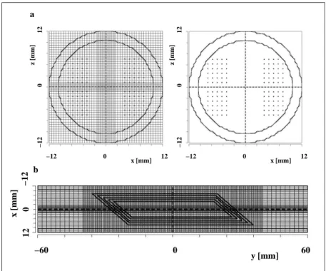 Abbildung 4.3: Realisierung der Parallelogramm-Geometrie auf dem Gitter für die Simulation mit M AFIA 
