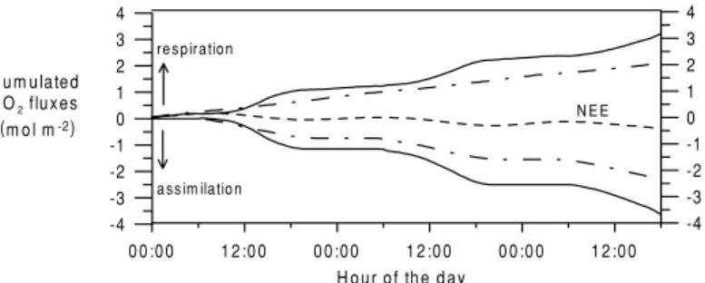 Fig. 8. Cumulated CO 2 fluxes. Standard simulation (solid lines), Lloyd and Taylor (1994) model (dash-dotted lines), along with the net ecosystem exchange (NEE) flux at the top of the canopy (dashed line).