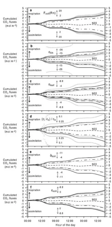 Fig. 9. Sensitivity runs for varying the soil exhalation rate F soil (Rn) (a), the kinetic fractionation of H 2 18 O for the diffusion of water vapour, ε kin (b), the effective diffusion fractionation of C 16 O 18 O from the ecosystem to the site of carbox