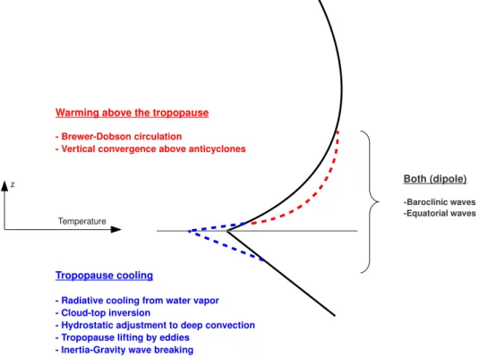 Fig. 1.6 Sketch of TIL enhancement by different processes: tropopause cooling (blue dashed line) and warming aloft (red dashed line) on a generic tropopause-based temperature profile (solid black line) similar to that in Fig