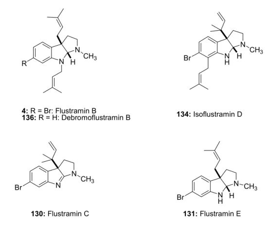 Abb. 14: Tricyclische, sauerstoffhaltige Indolalkaloide (Flustramine) aus dem Moostierchen Flustra  foliacea