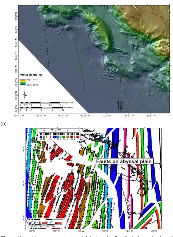 Figure 40  (a) Apparent re-activated right-lateral strike-slip faults on the abyssal plain  west of the deformation front