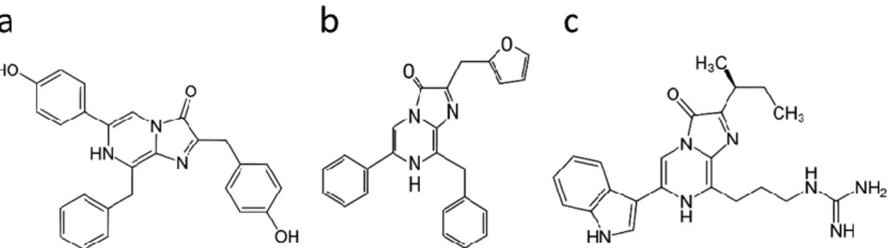 Figure 8. Chemical structures of related luciferins: a) coelenterazine, b) furimazine and c) vargulin